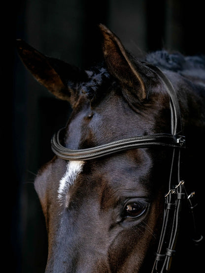 LeMieux AriKa Anatomical Cavesson Bridle Black/Silver close-up of horse's eye and tack