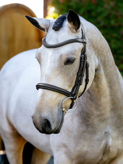 LeMieux Ariaka Anatomical Caveson Bridle - Brown/Silver