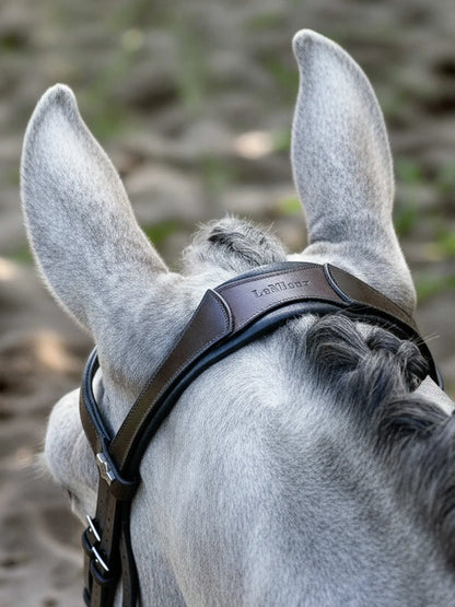 LeMieux Arika Anatomical Caveson Bridle Brown/Silver on horse ears - equestrian tack