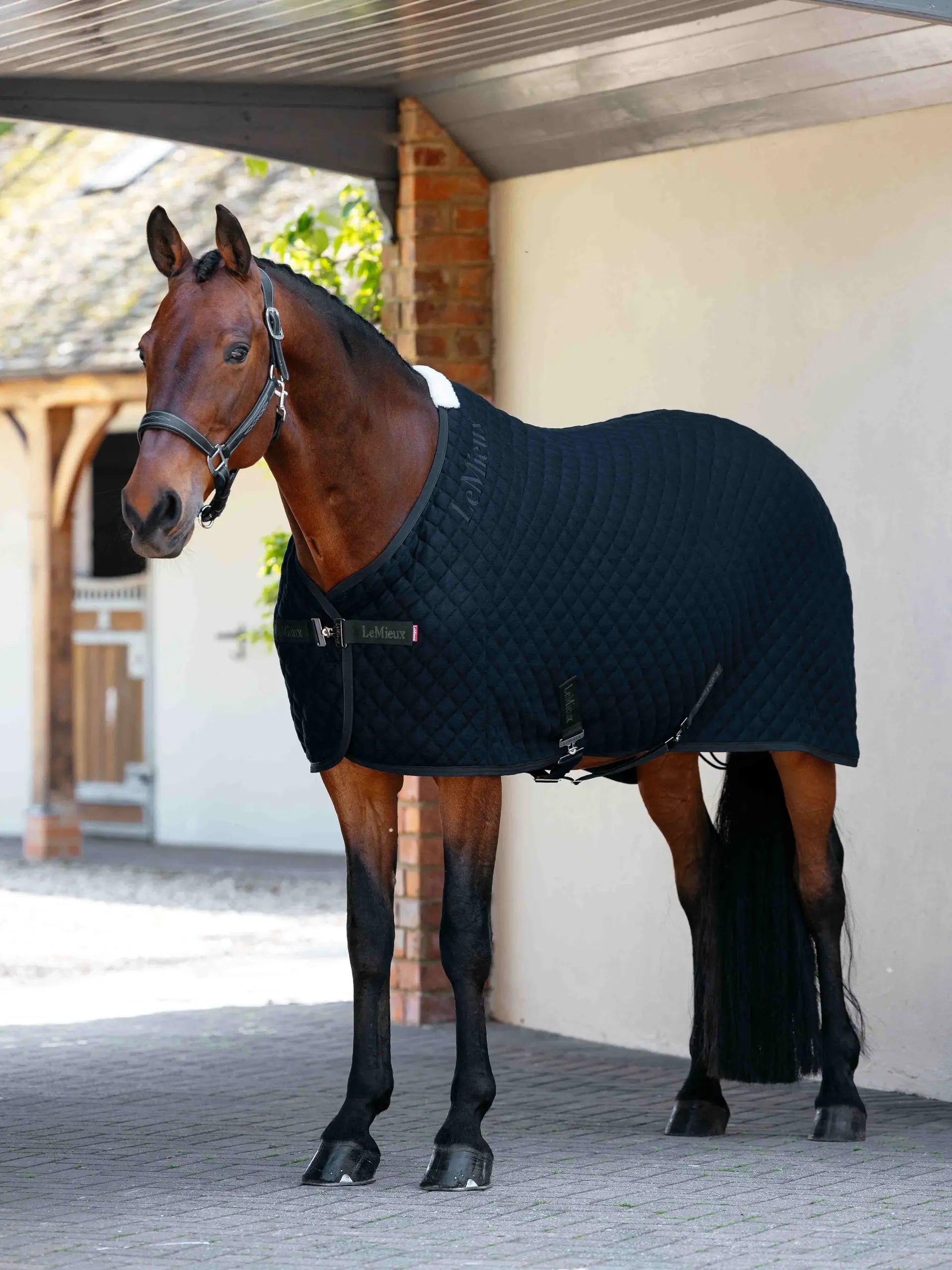 LeMieux Arika Clima-Tek Rug in navy on a brown horse, designed for exercise cooling and moisture wicking.