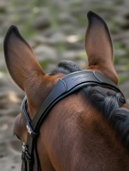LeMieux Arika Anatomic Dressage Bridle Black/Silver on horse's head, equestrian gear
