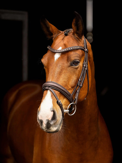Brown horse wearing a Lemieux Arika anatomic dressage bridle with crystal browband and silver fittings
