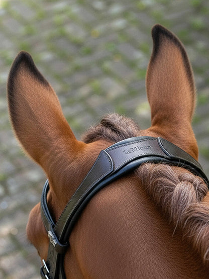 Brown horse wearing a LeMieux Arika anatomic dressage bridle with silver fittings