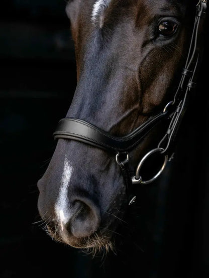 Black Lemieux Arika anatomic drop bridle with silver fittings on a dark horse