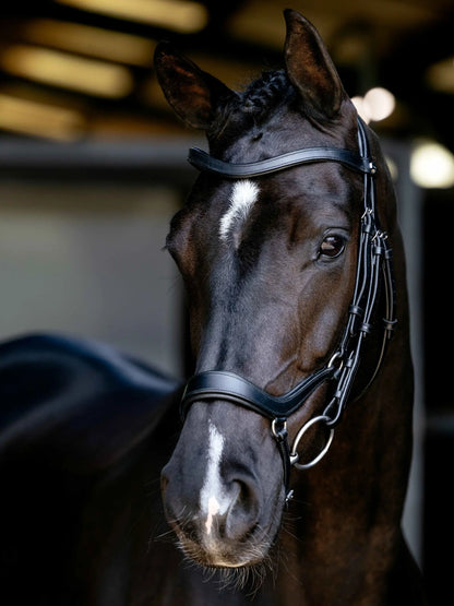 Black horse wearing LEMIEUX ARIKA ANATOMIC DROP BRIDLE in Black/Silver