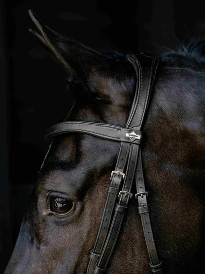 Black Lemieux Arika Anatomical Drop Bridle for horses with silver detailing