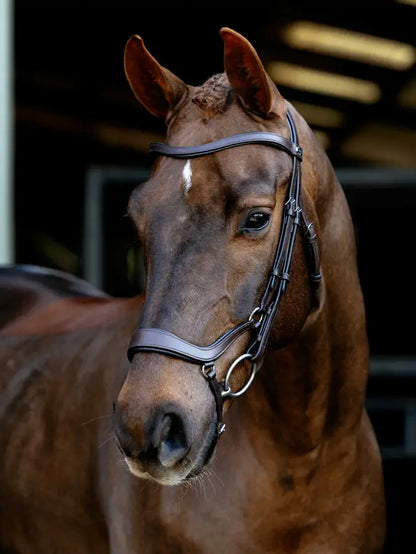 LeMieux Arika Anatomic Drop Bridle - Brown leather horse bridle with anatomic fit for comfort.