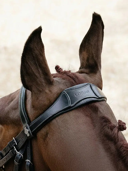 LeMieux Arika Anatomic Drop Bridle - Close-up of horse ears and black leather bridle detail