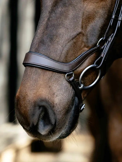 LeMieux Arika anatomic drop bridle on a brown horse's head, featuring dark leather and silver hardware.