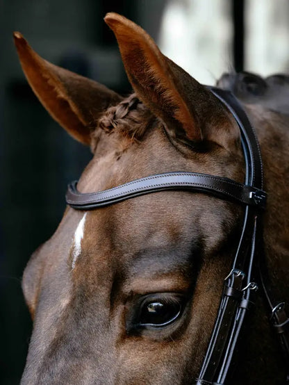 Brown Arika Anatomic Drop Bridle on horse head - equestrian tack by Equiflair