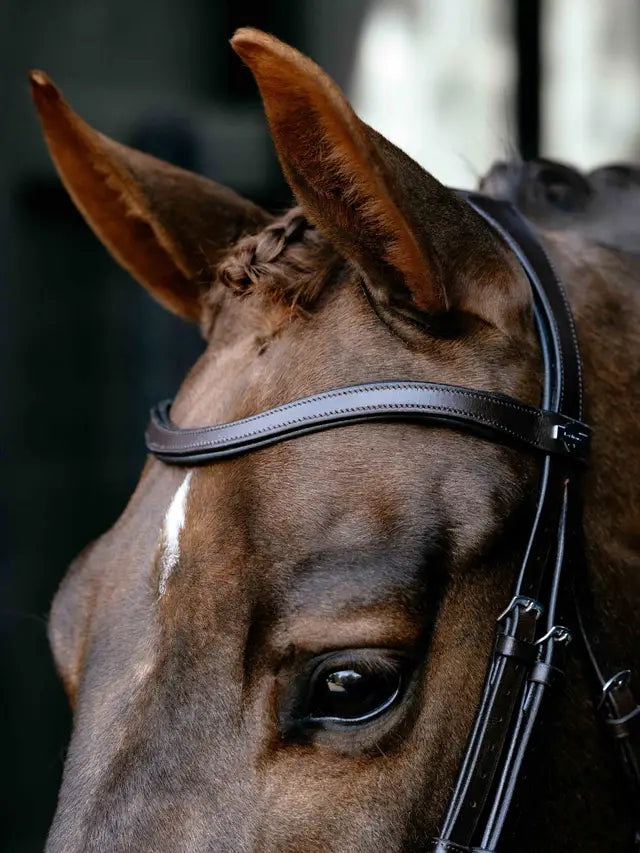 Brown Arika Anatomic Drop Bridle on horse head - equestrian tack by Equiflair
