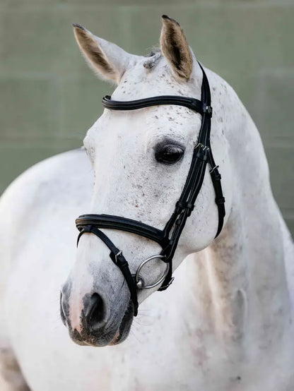 LeMieux Arika Anatomic Flash Bridle Black/Silver on a white speckled horse