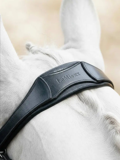 LeMieux black anatomic flash bridle with padded headpiece and embossed logo on white horse