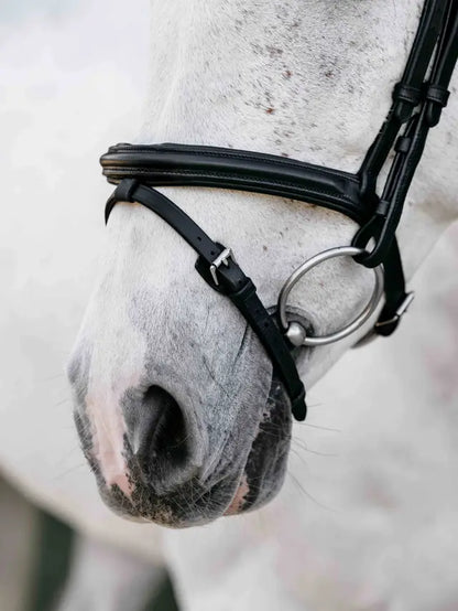 LeMieux Arika Anatomic Flash Bridle Black/Silver on a grey speckled horse