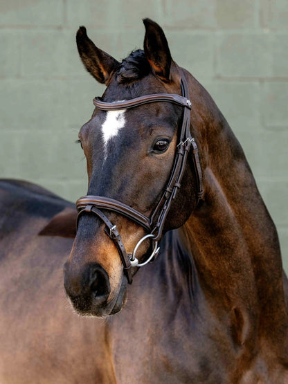 LeMieux Arika Anatomical Flash Bridle - Brown Leather Horse Tack with Silver Accents
