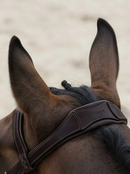 Lemieux Arika Brown Leather Flash Bridle for horses, showing horse ears and headpiece detail.