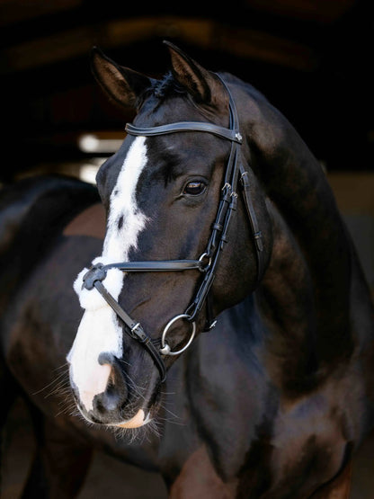 Black horse wearing a black anatomical grackle bridle with white blaze and noseband padding