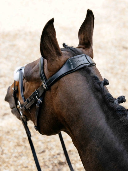 LeMieux Arika Grackle Bridle Black/Silver - Anatomical Equestrian Tack