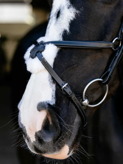 Black leather horse bridle with anatomical grackle, padded noseband, and wool pad - Equiflair