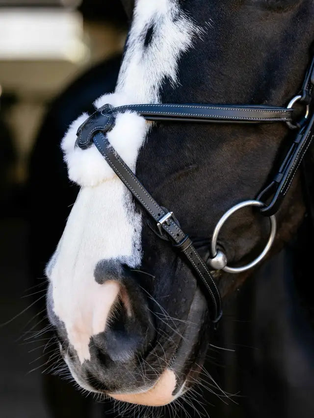 LeMieux Arika Anatomic Grackle Bridle Black/Silver