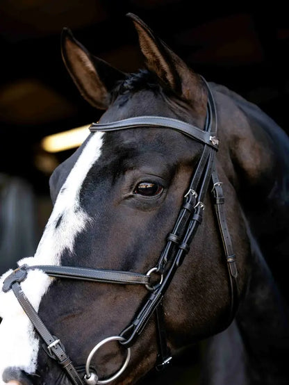 LeMieux Arika Anatomic Grackle Bridle Black/Silver horse tack close-up