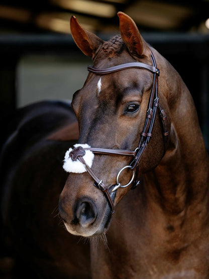 Brown horse wearing LEMIEUX ARIKA anatomical grackle leather bridle with wool nose pad