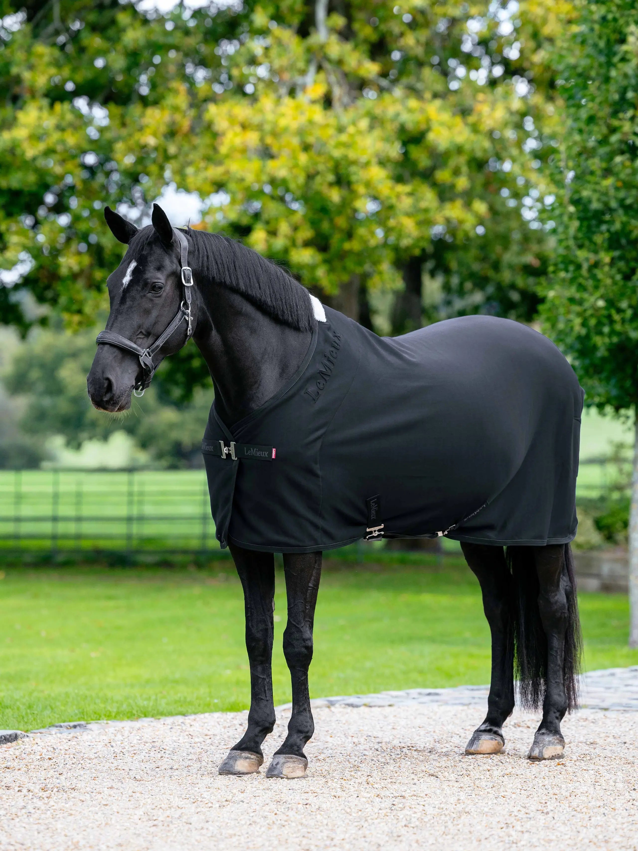 LeMieux Arika Jersey-Tek Fleece Black