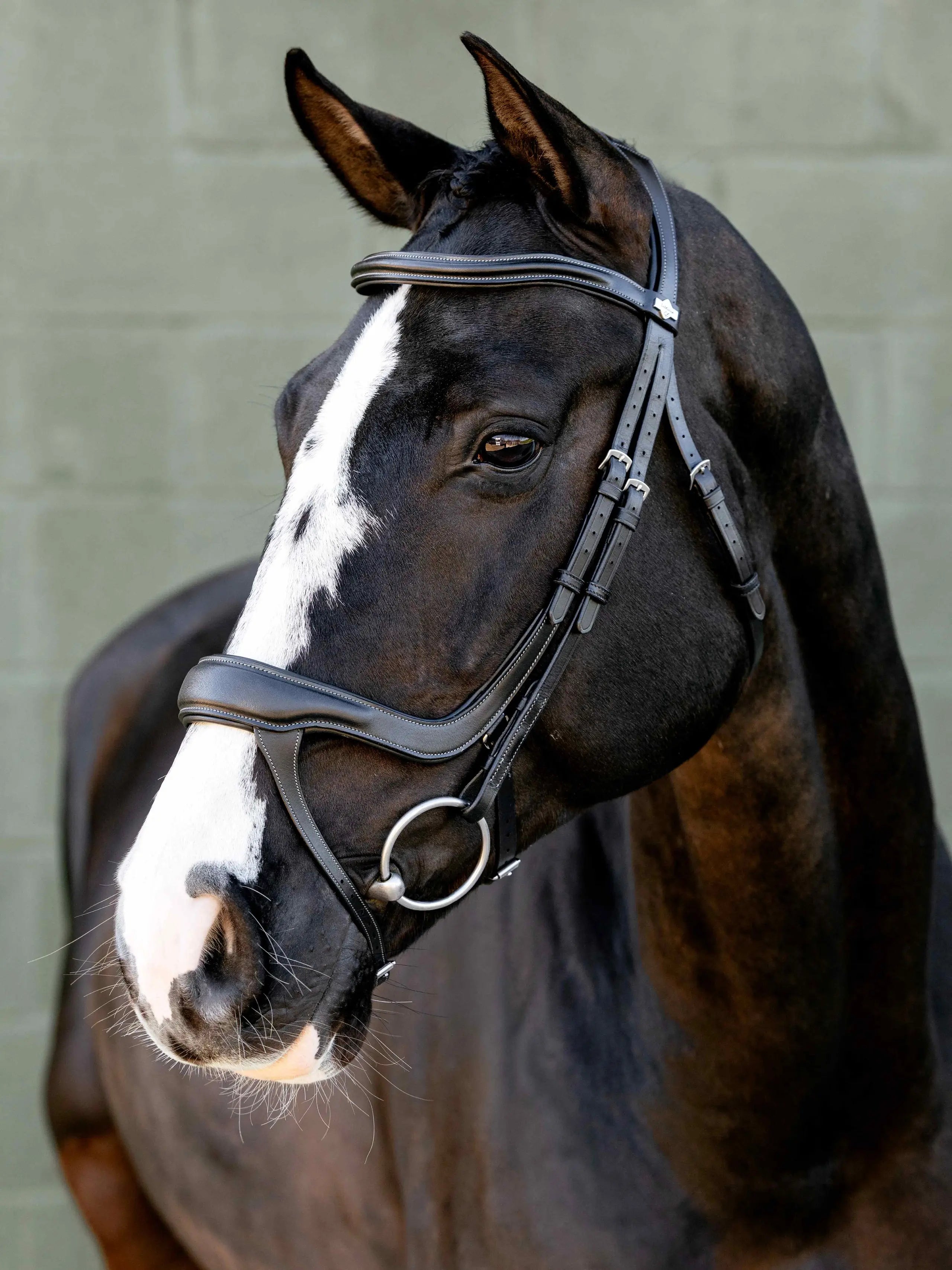 LeMieux Arika Anatomic Split Noseband Bridle Black/Silver on horse