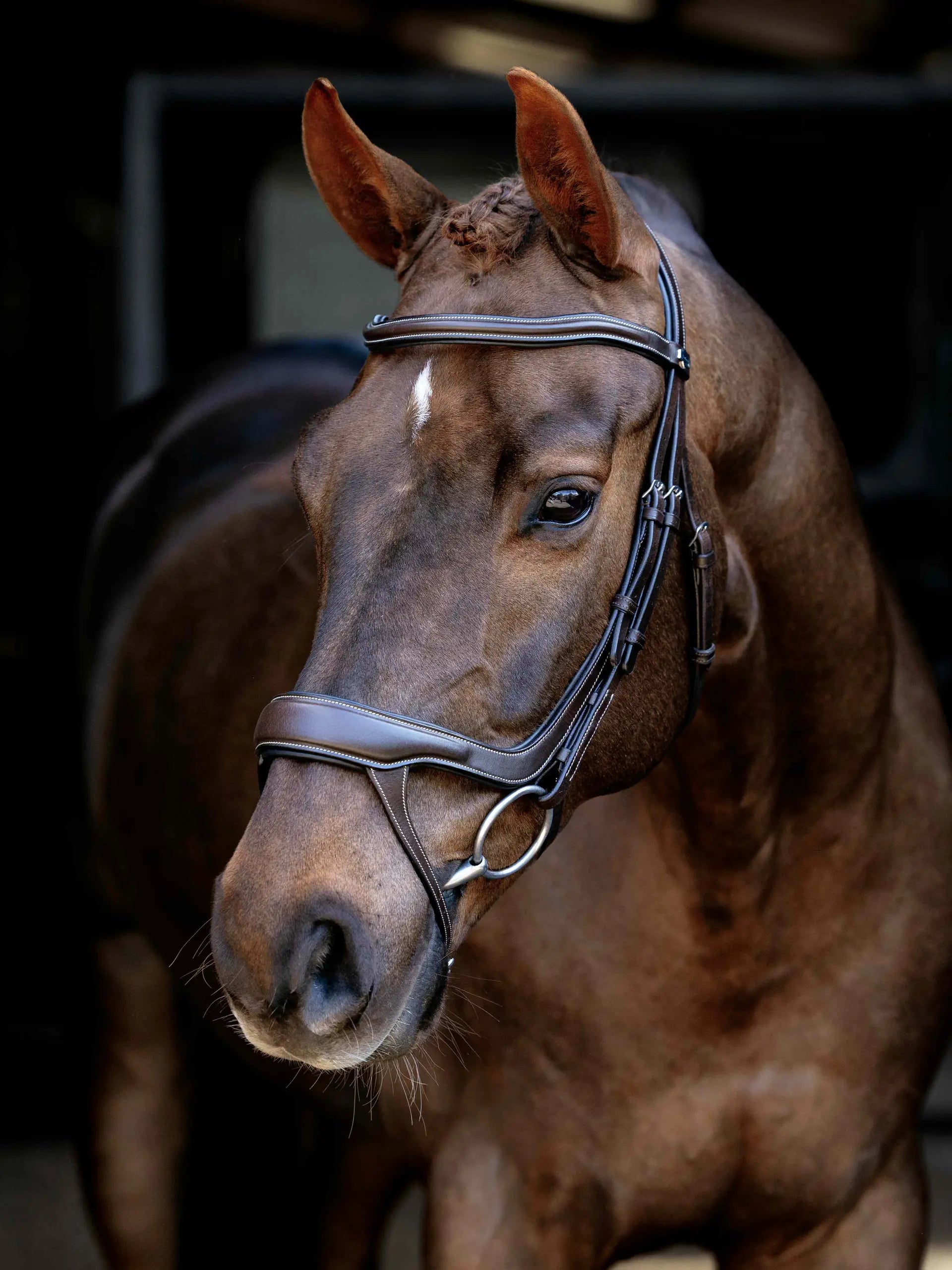 LeMieux Arika Anatomic Split Noseband Bridle Brown/Silver