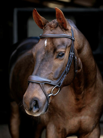 Brown horse wearing LeMieux Arika anatomic split noseband bridle in brown and silver.