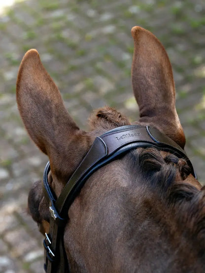 LeMieux Arika Anatomic Split Noseband Bridle - Brown/Silver detail on horse