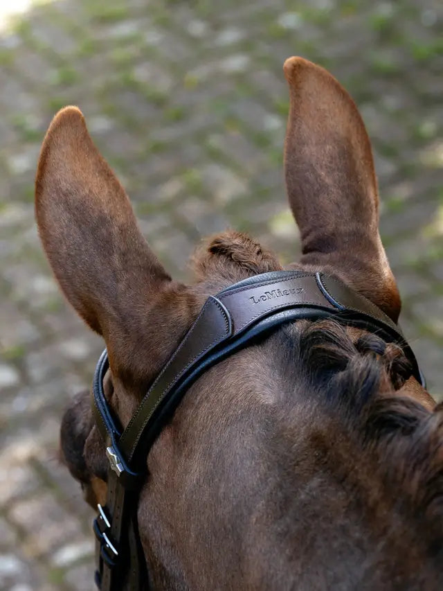 LeMieux Arika Anatomic Split Noseband Bridle Brown/Silver