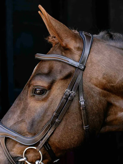 LeMieux Arika Anatomic Split Noseband Bridle Brown/Silver on horse head, equestrian tack
