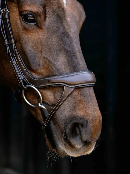 LeMieux Arika Anatomic Split Noseband Bridle in brown leather with silver hardware, close-up on horse's face.