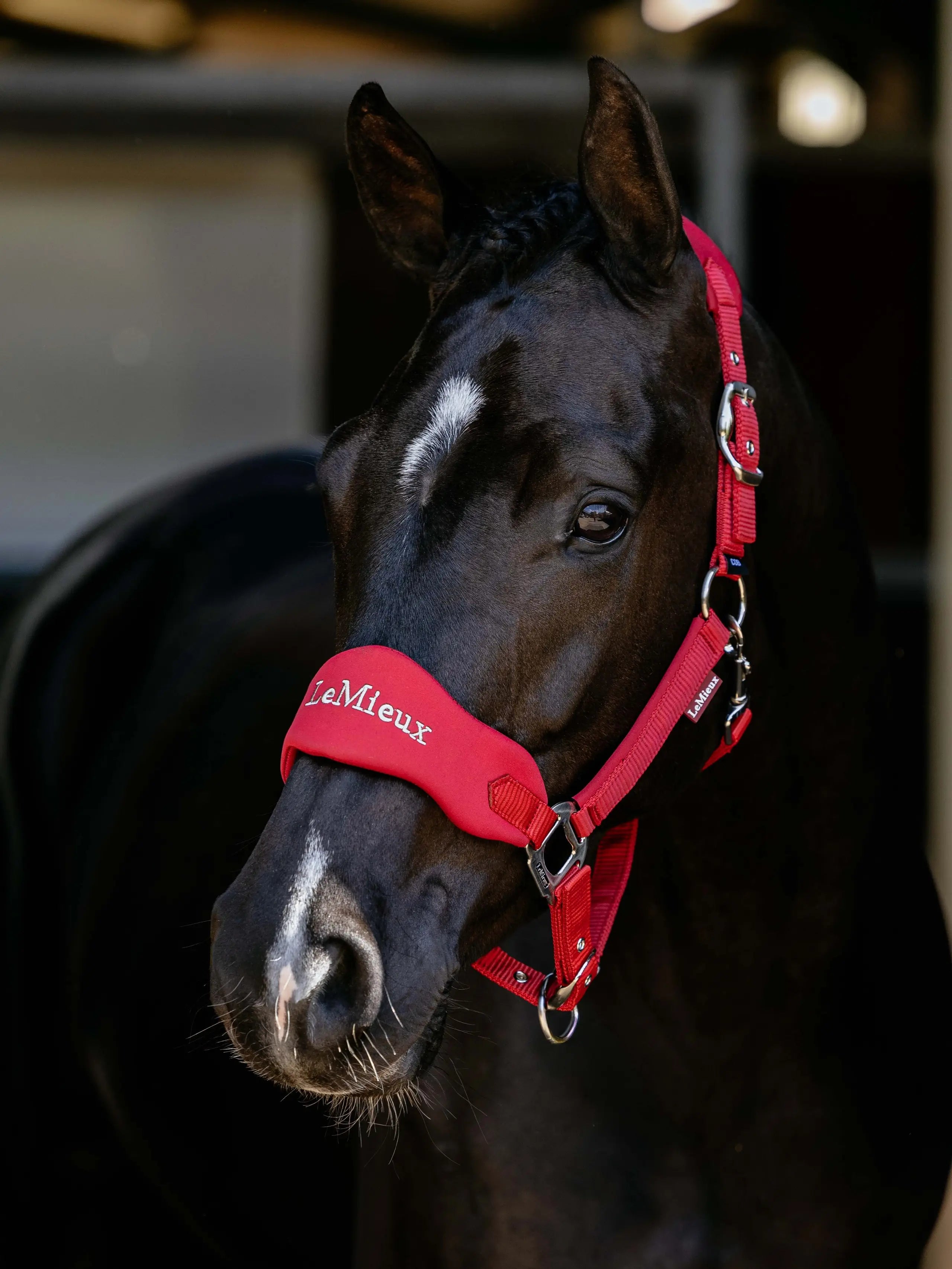 LeMieux Breakaway Vogue Headcollar Chilli