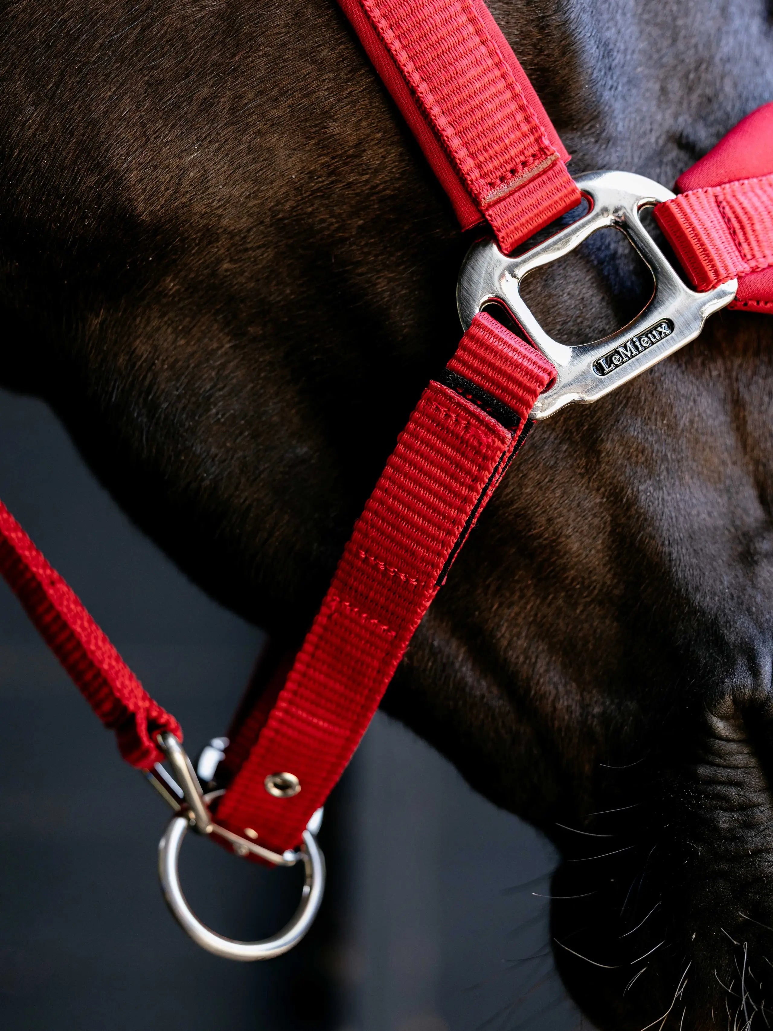 LeMieux Breakaway Vogue Headcollar Chilli