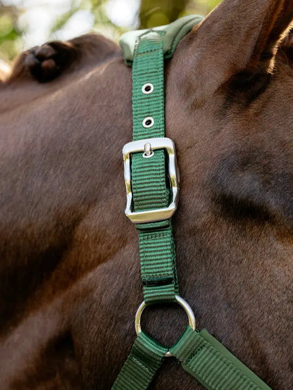 LeMieux Breakaway Vogue Headcollar Hunter Green