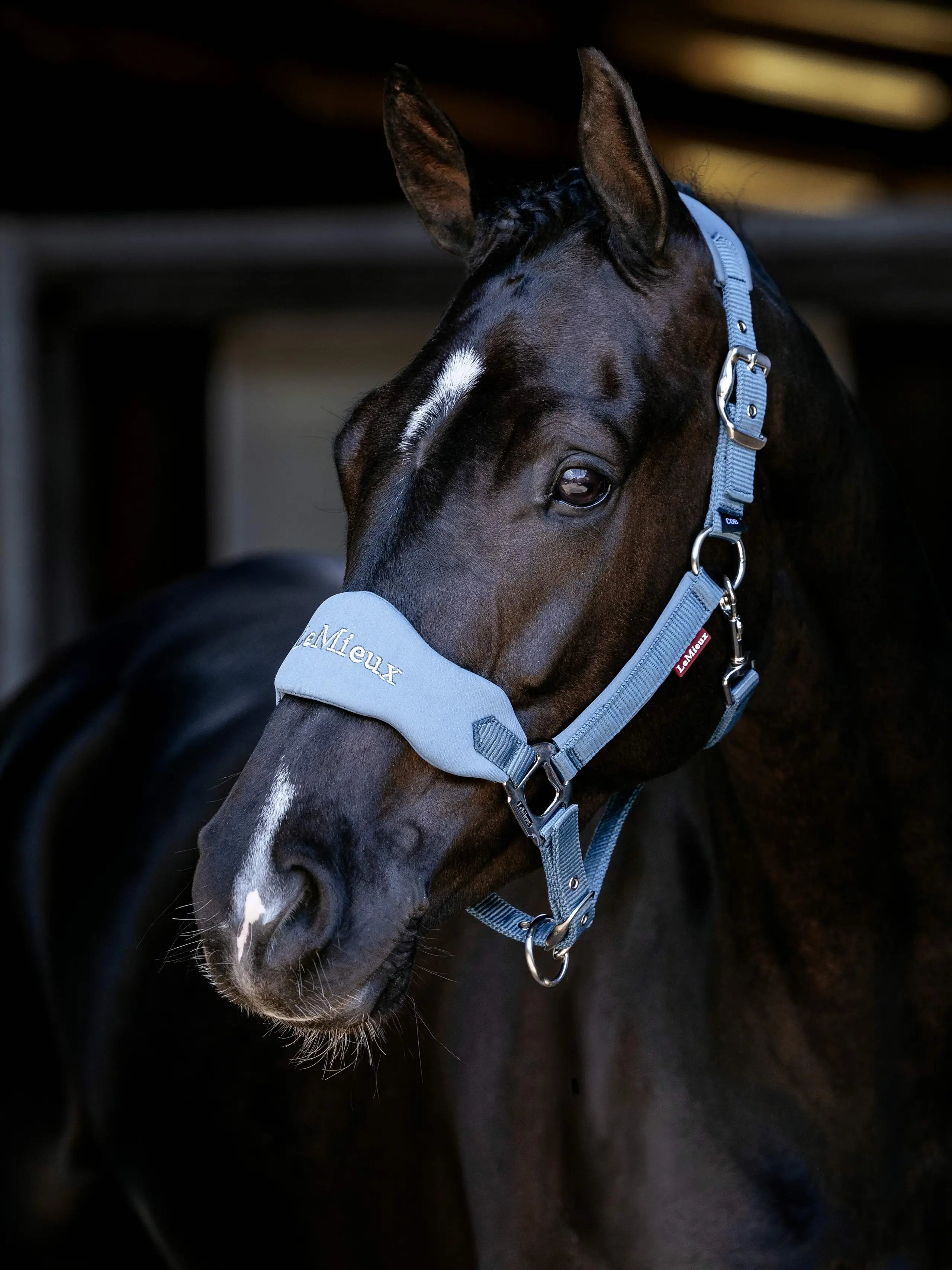 LeMieux Breakaway Vogue Headcollar Ice Blue
