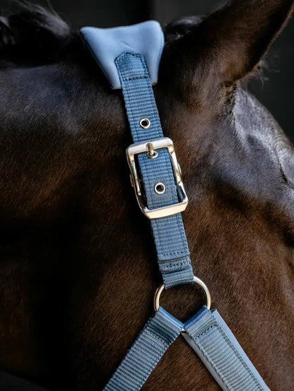 LeMieux Breakaway Vogue Headcollar Ice Blue