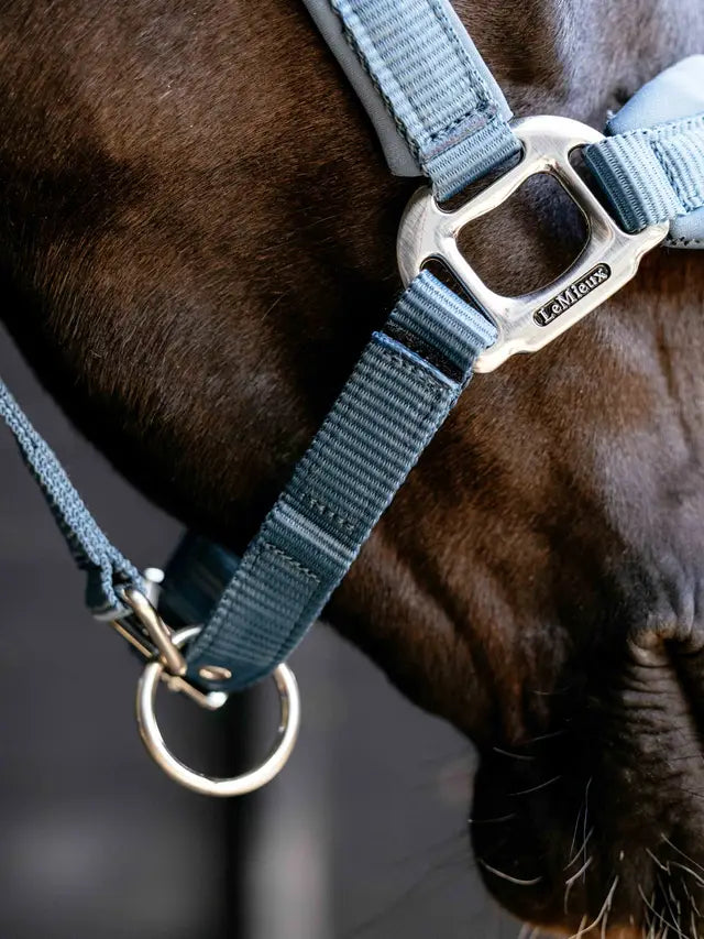 LeMieux Breakaway Vogue Headcollar Ice Blue