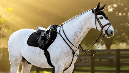 White horse wearing LeMieux Brilliance Close Contact Square saddle pad and bridle in sunlight.