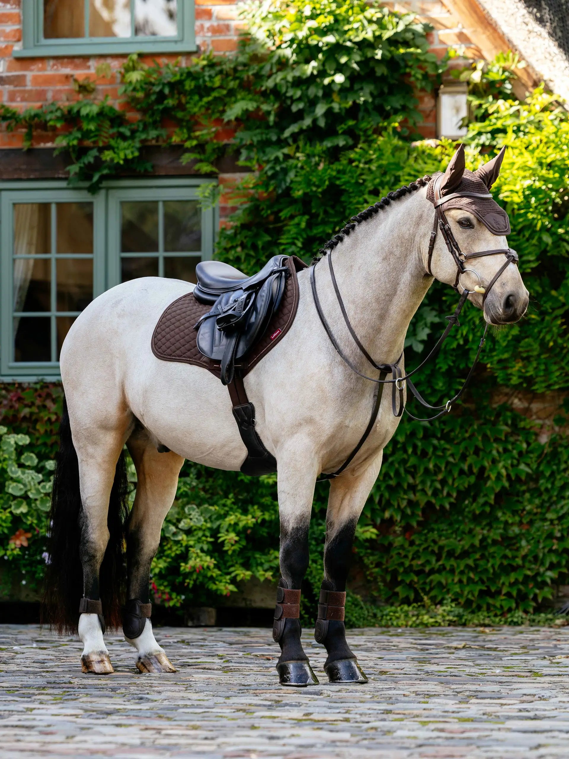 LeMieux Brilliance Close Contact Square Espresso Saddle Pad on a horse, equestrian tack for show ring