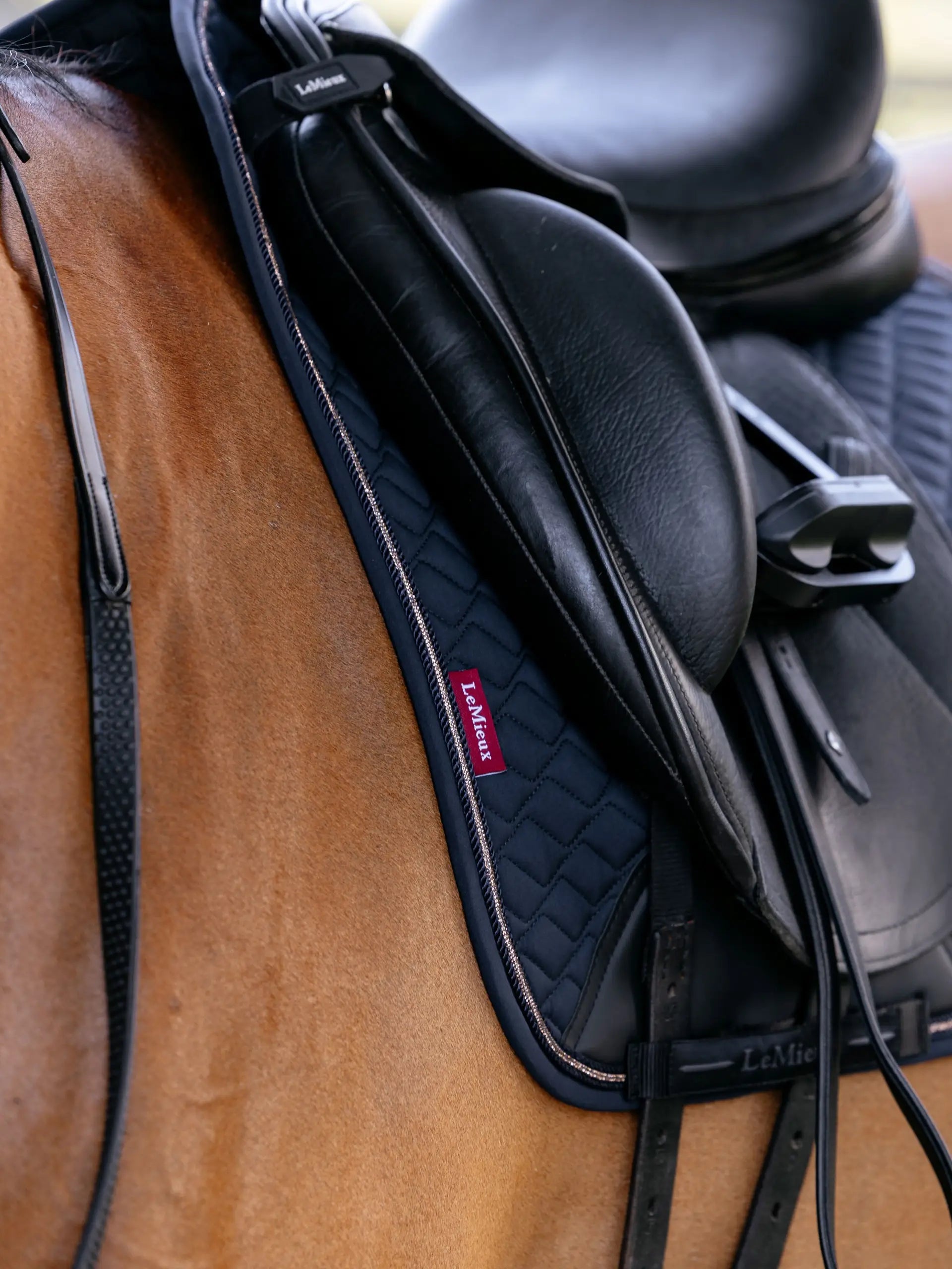 Navy LeMieux Brilliance Dressage Square saddle pad featuring elegant sparkle.