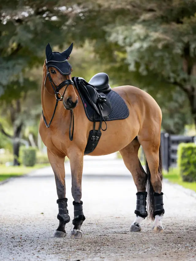 LeMieux Brilliance Dressage Saddle Pad Navy on a brown horse, complete with bridle and boots