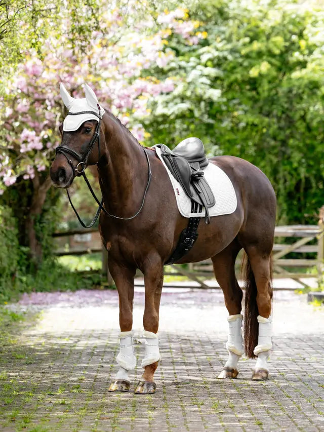LeMieux Brilliance Dressage Square White saddle pad on brown horse with matching ear bonnet and leg wraps