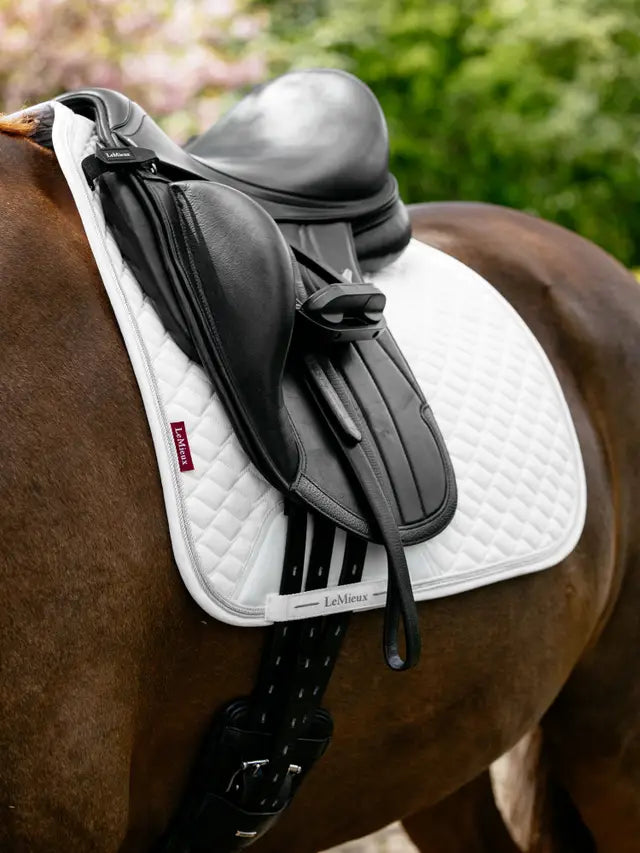 LeMieux Brilliance Dressage Square Saddle Pad White on a brown horse with black saddle and girth
