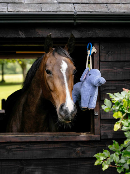 Brown horse in stable looking at a blue plush toy elephant hanging nearby