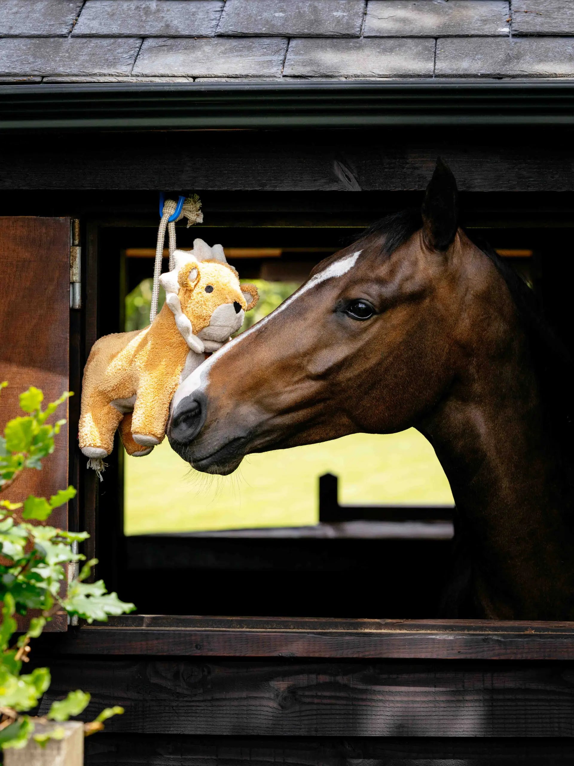 LeMieux Plush Horse Toy Lion