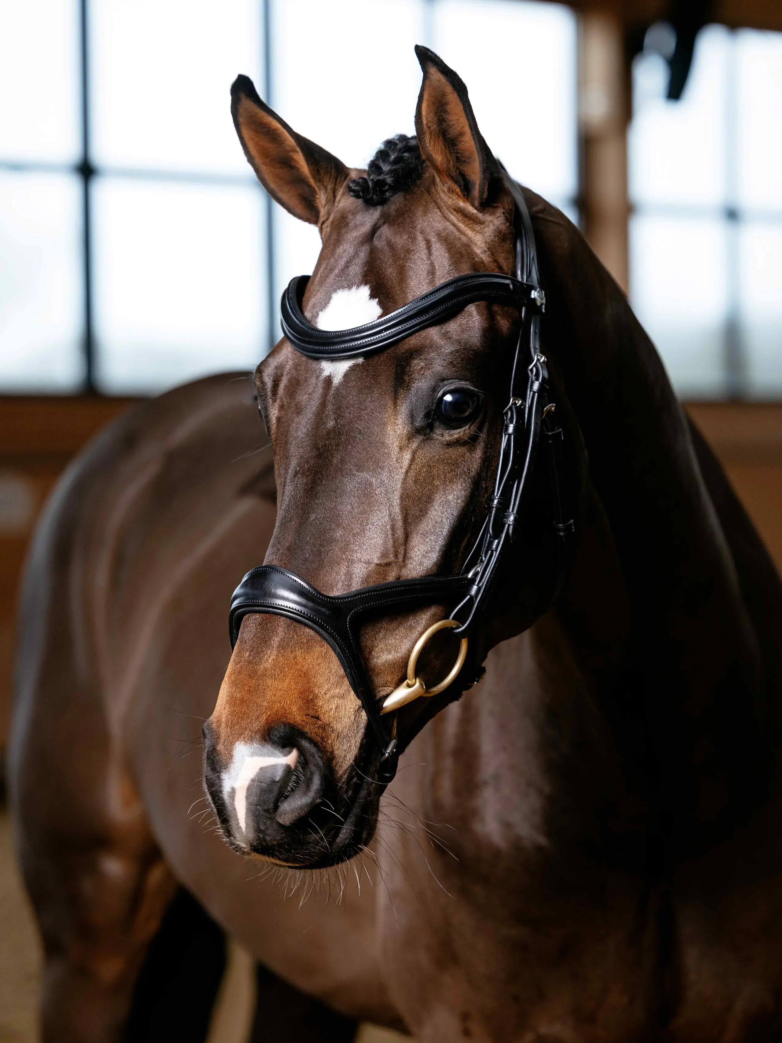 LeMieux Kudos Sport Bridle Black/Silver - Anatomical Horse Bridle with Premium Leather