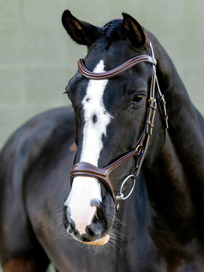 Black horse wearing Lemieux Kudos Sport Bridle in Havana/Brass with white blaze. Elegant equestrian tack.